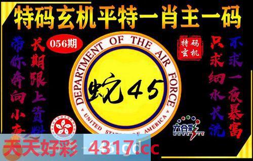 图片加载中...