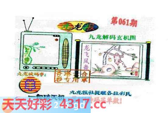 图片加载中...
