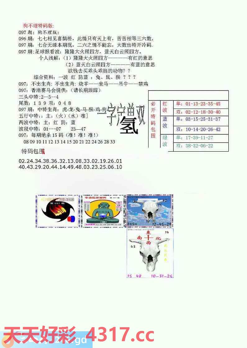 图片加载中...