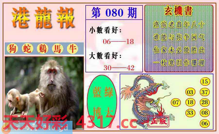 图片加载中...