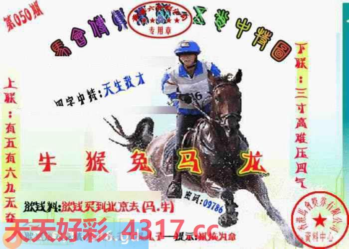 图片加载中...