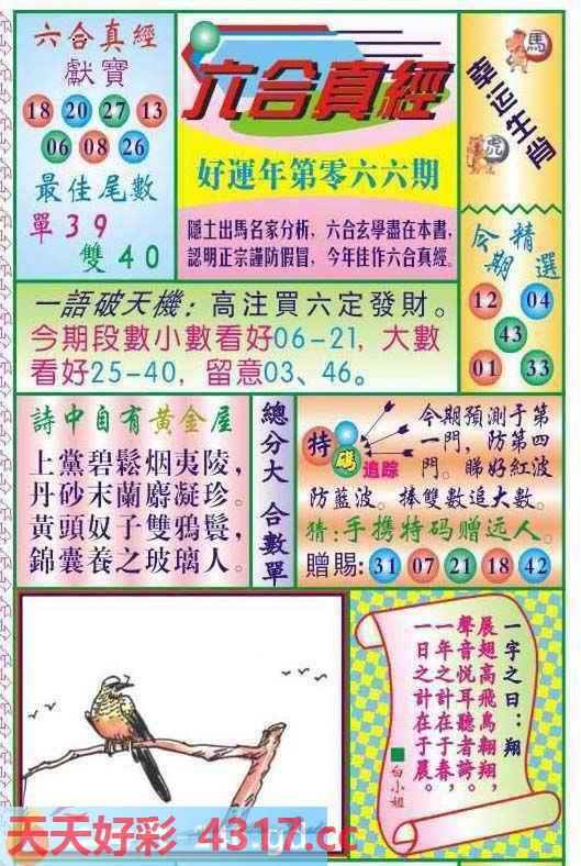 图片加载中...