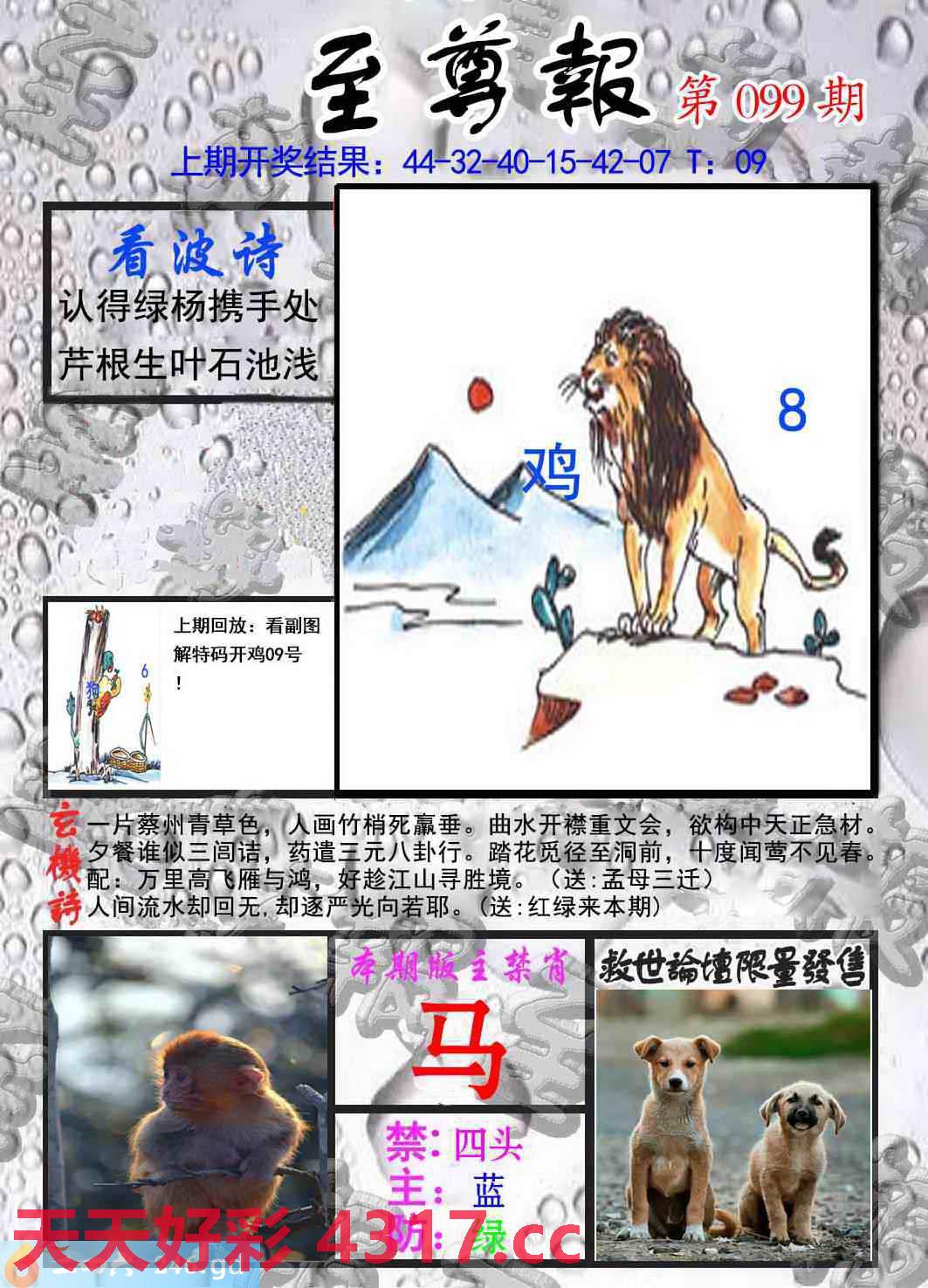 图片加载中...