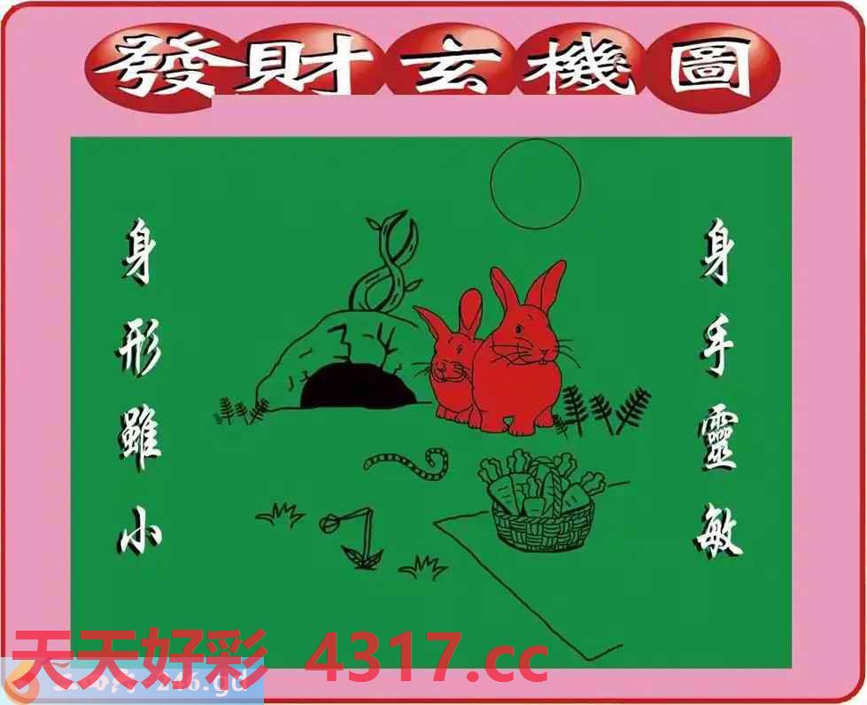 图片加载中...