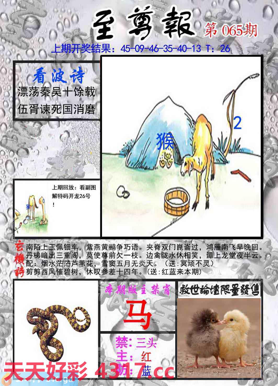 图片加载中...
