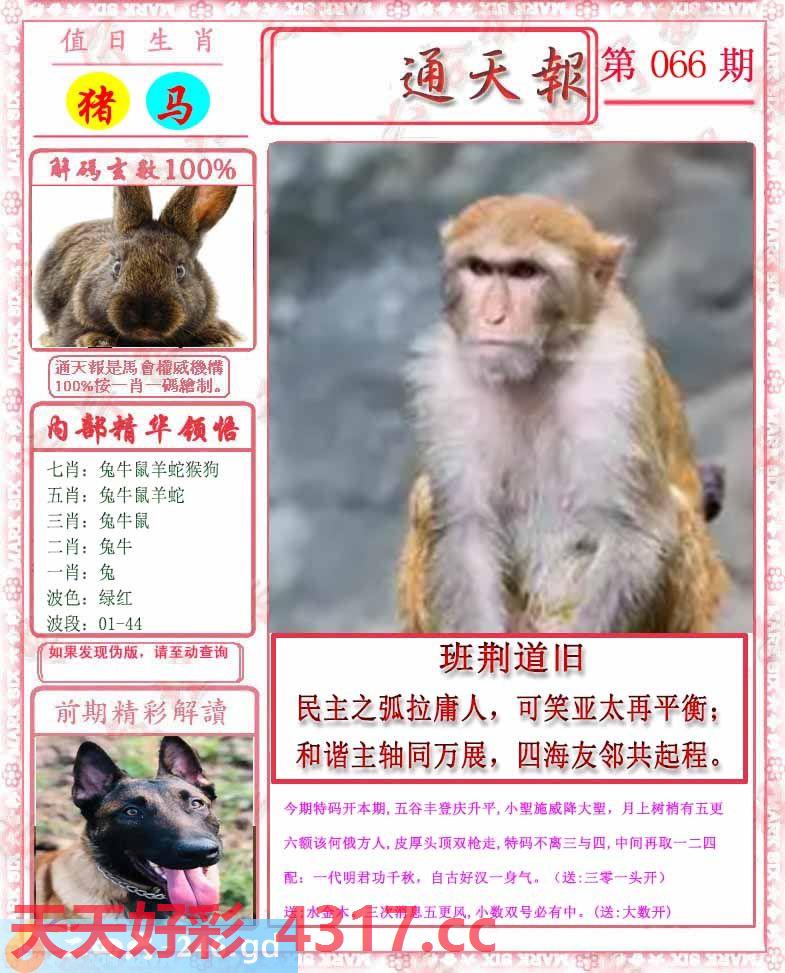 图片加载中...