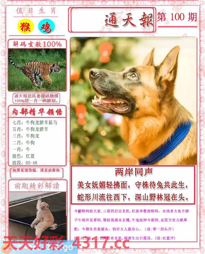图片加载中...