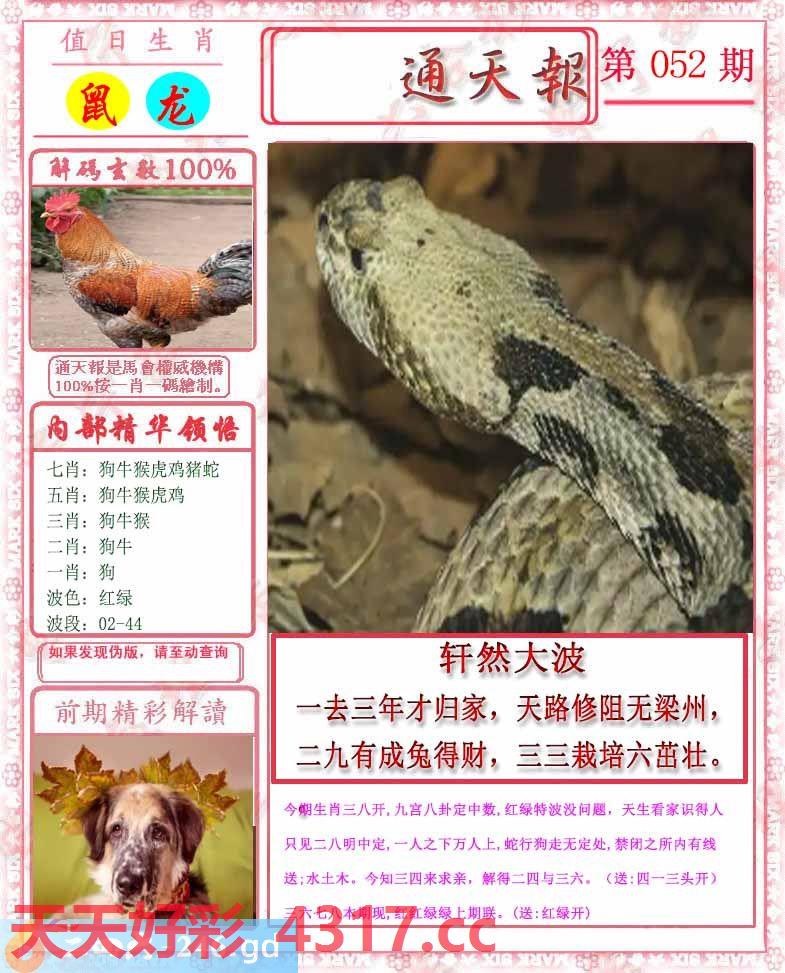 图片加载中...