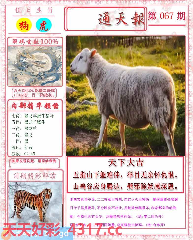 图片加载中...