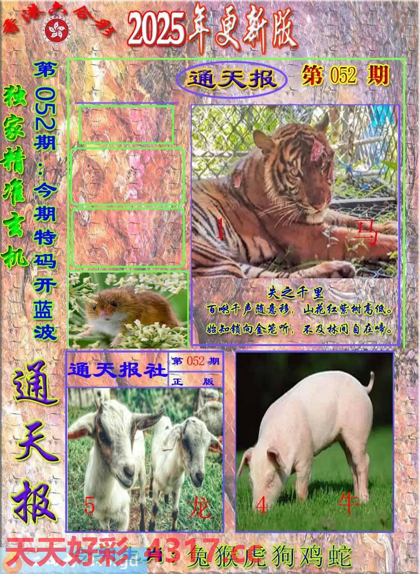 图片加载中...