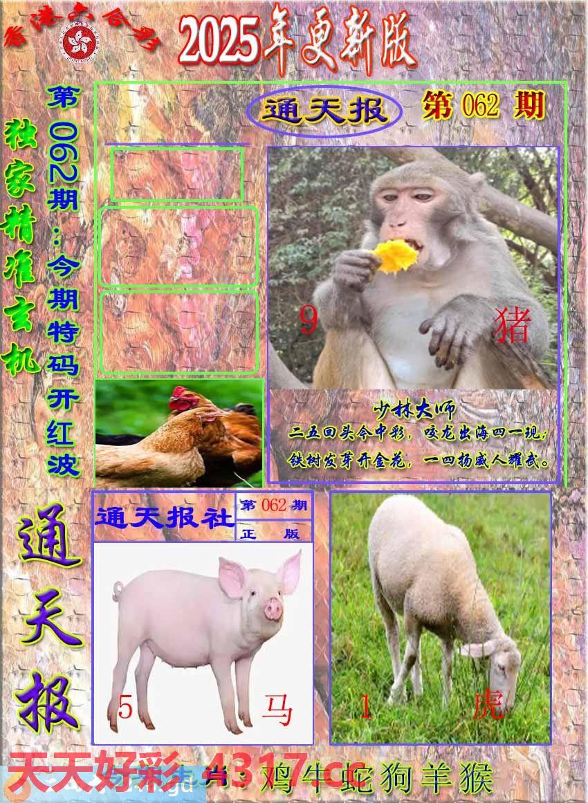 图片加载中...