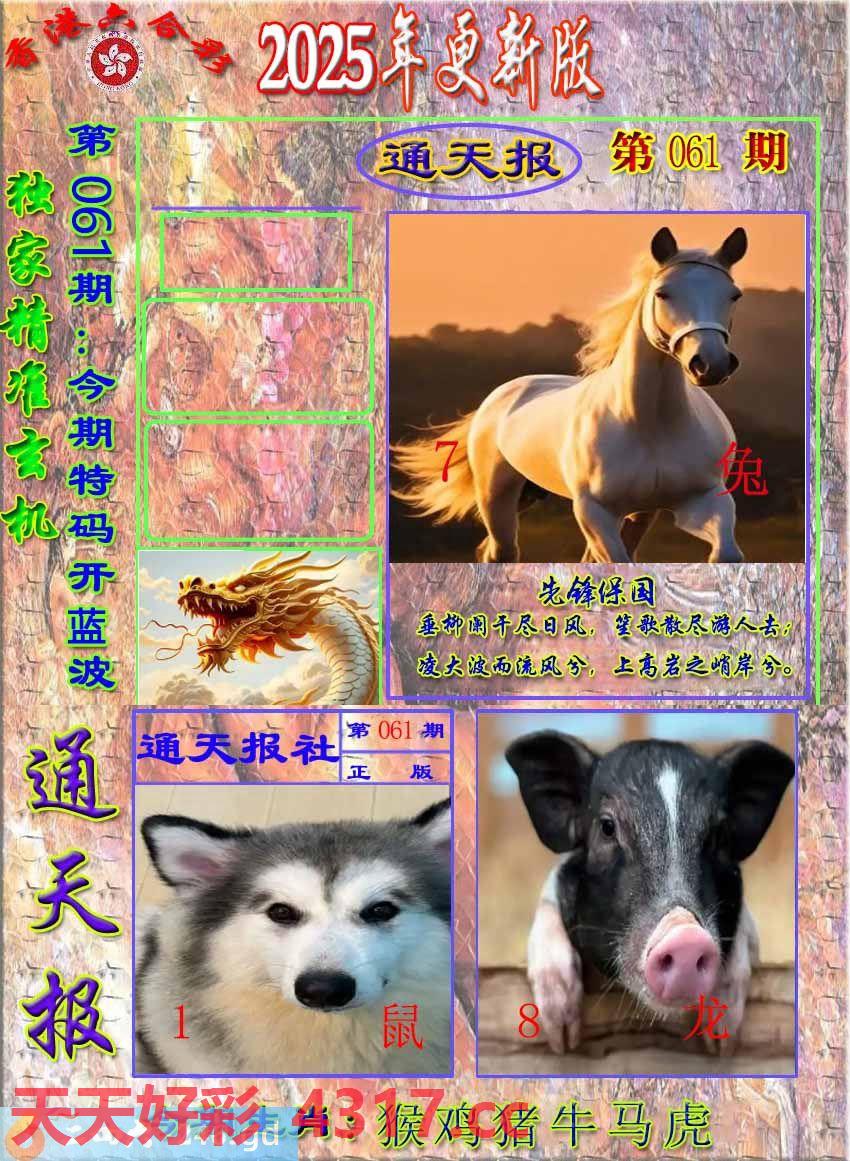 图片加载中...
