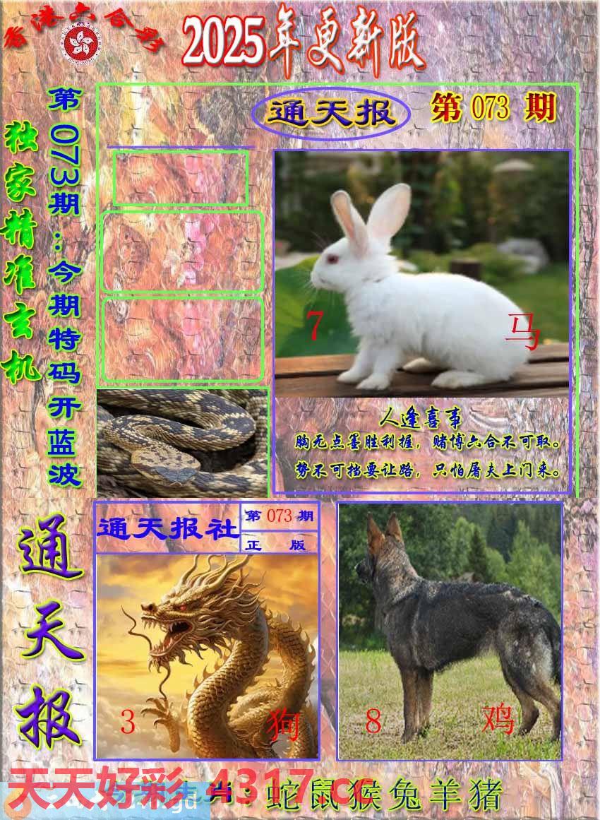 图片加载中...