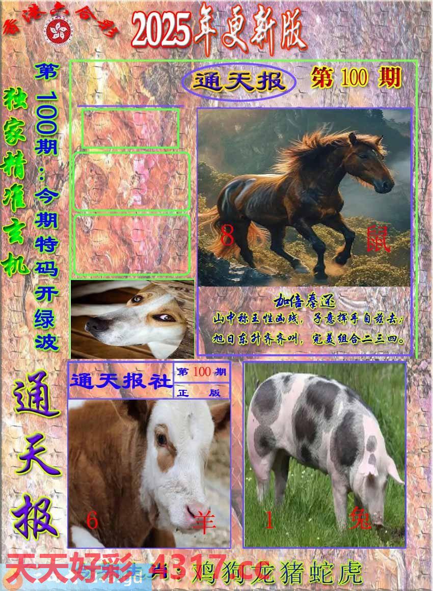 图片加载中...