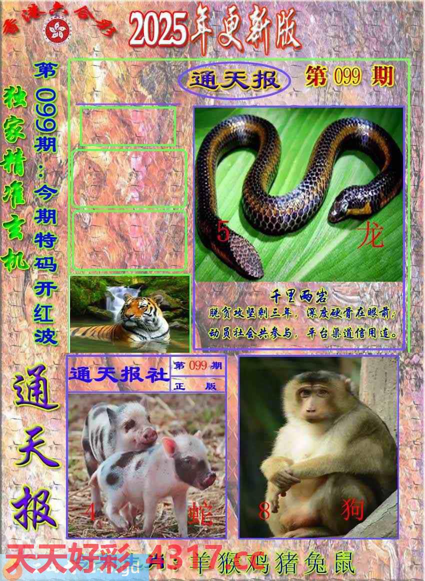 图片加载中...