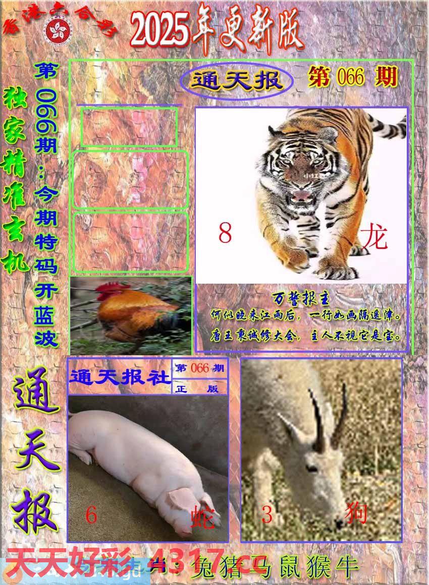 图片加载中...