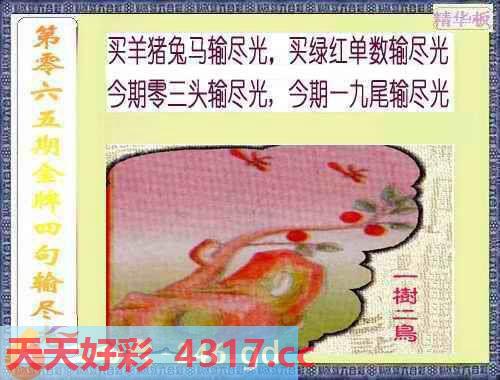 图片加载中...