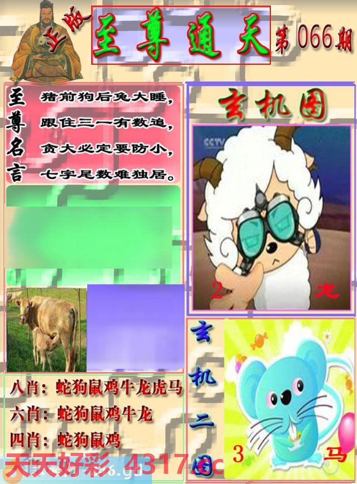 图片加载中...