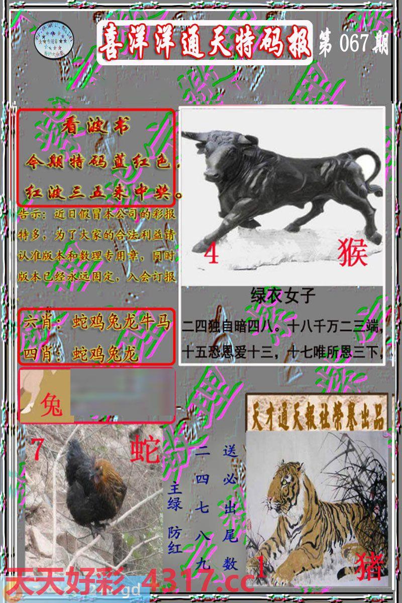 图片加载中...