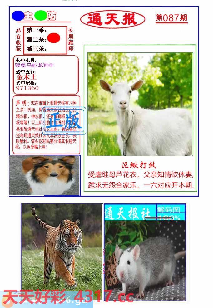 图片加载中...