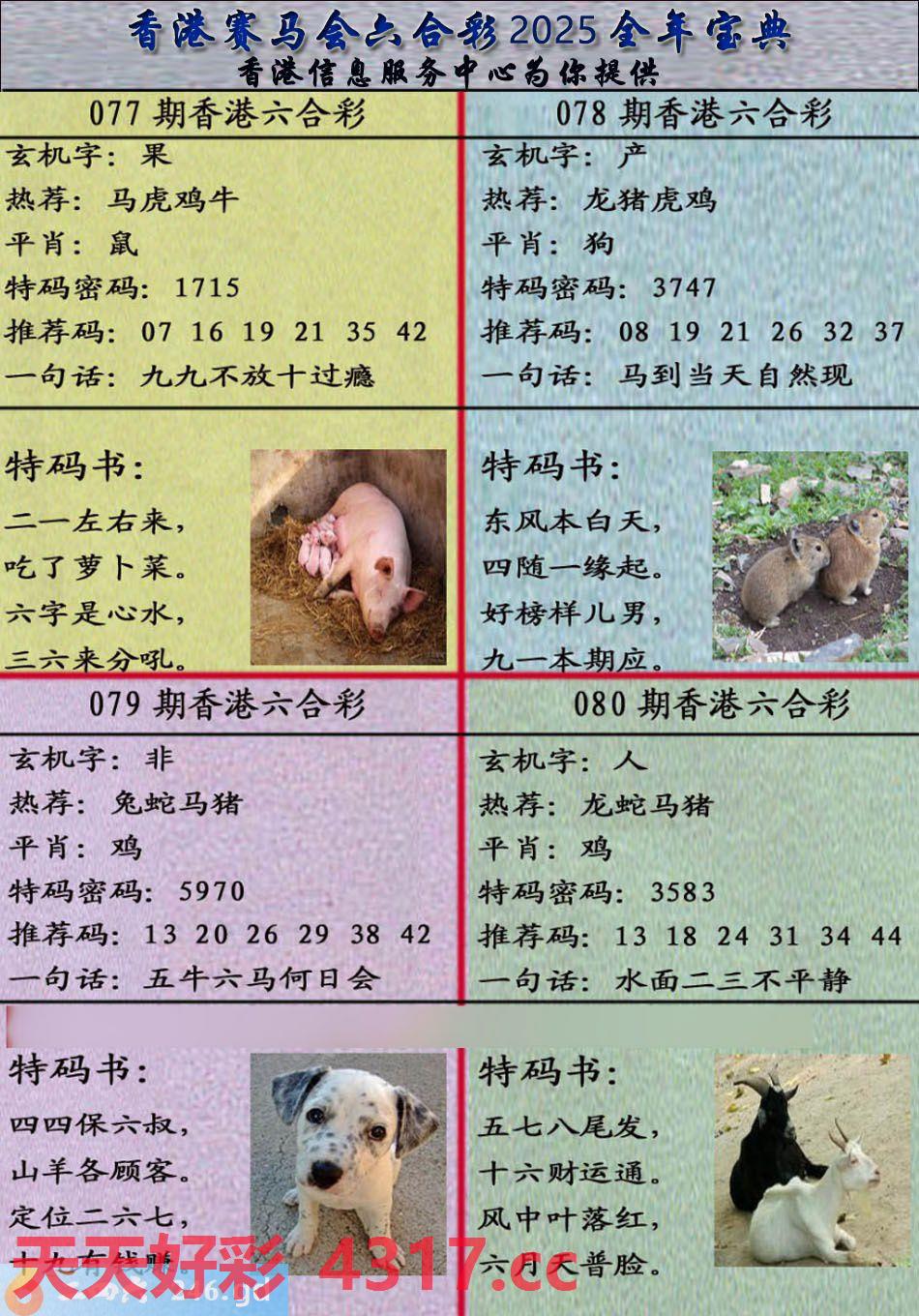 图片加载中...