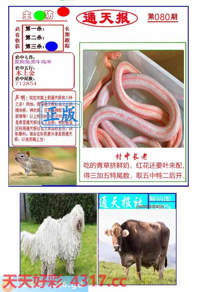 图片加载中...