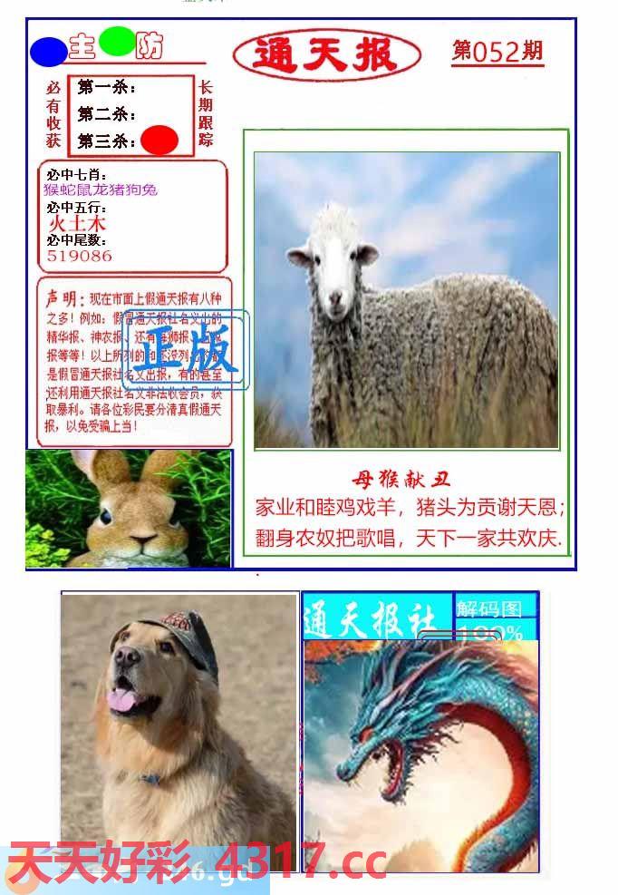 图片加载中...