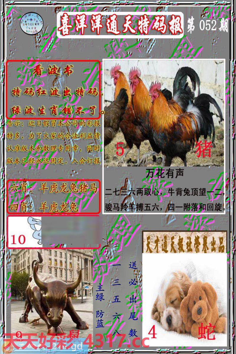 图片加载中...