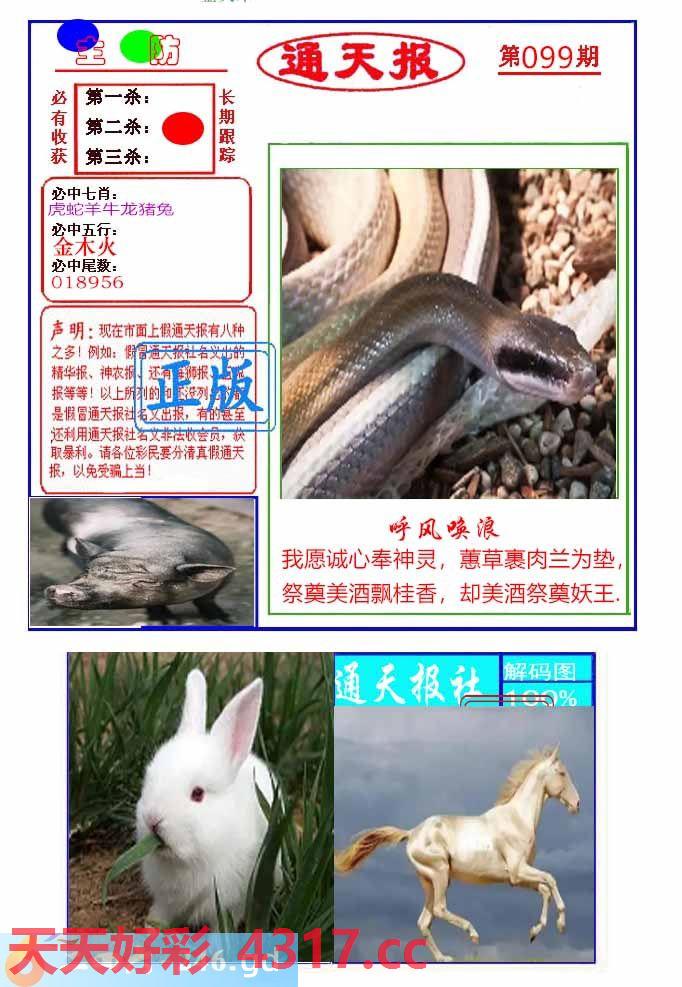 图片加载中...