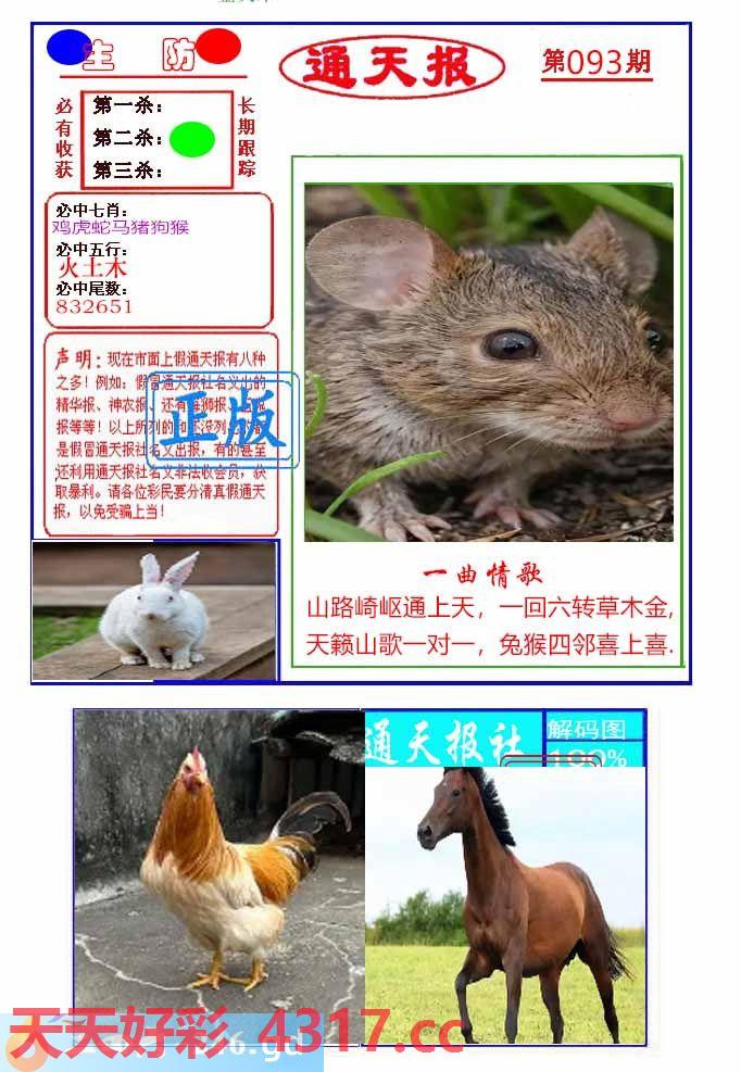 图片加载中...