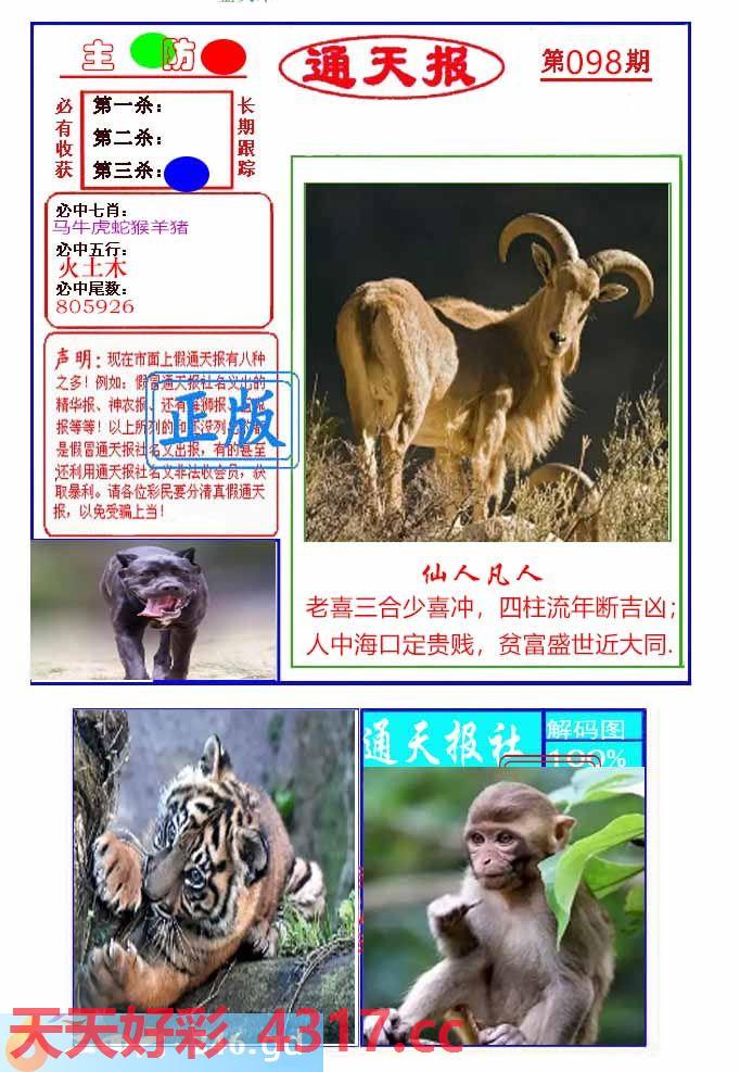 图片加载中...