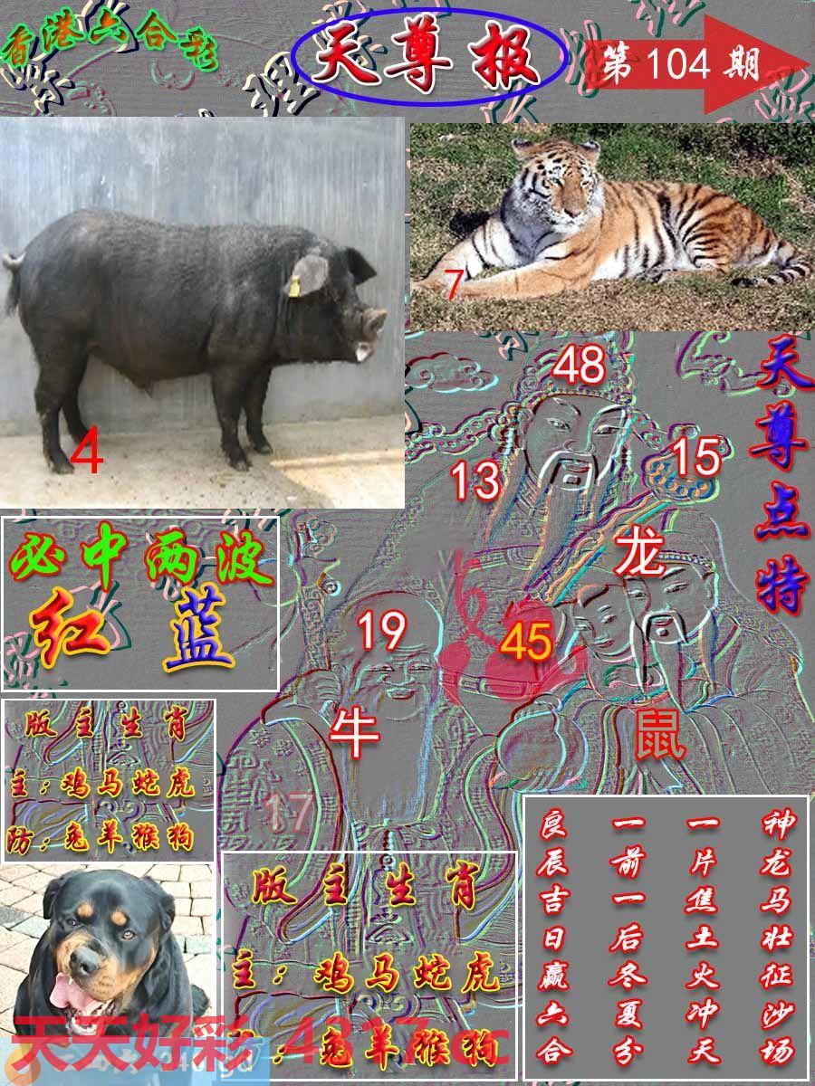 图片加载中...