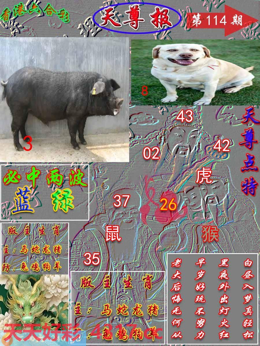 图片加载中...