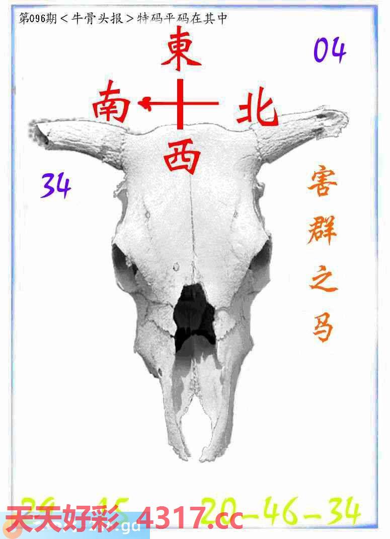 图片加载中...