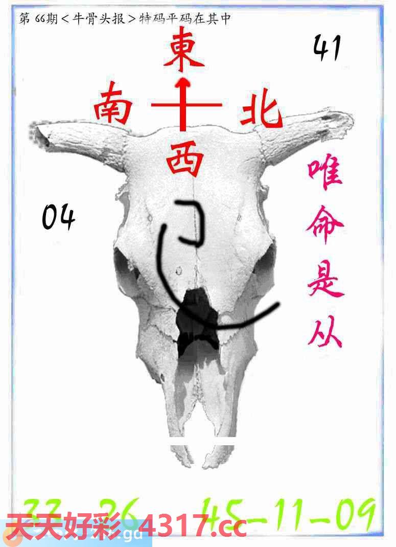 图片加载中...