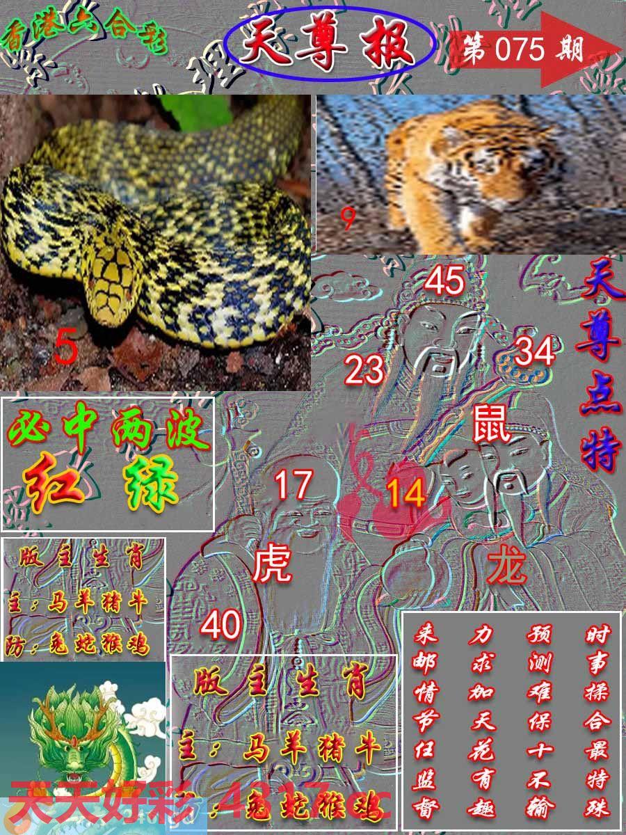 图片加载中...