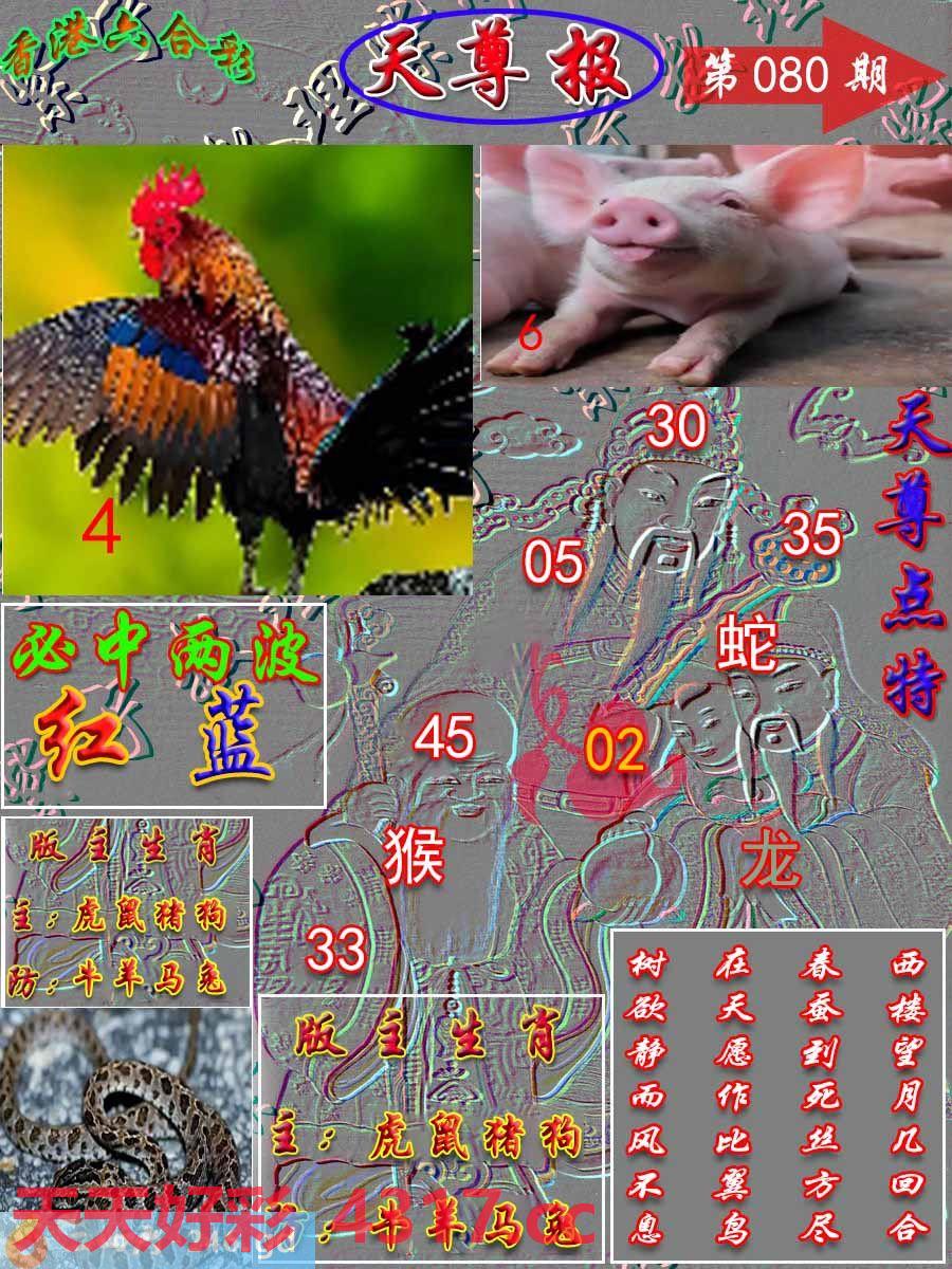 图片加载中...