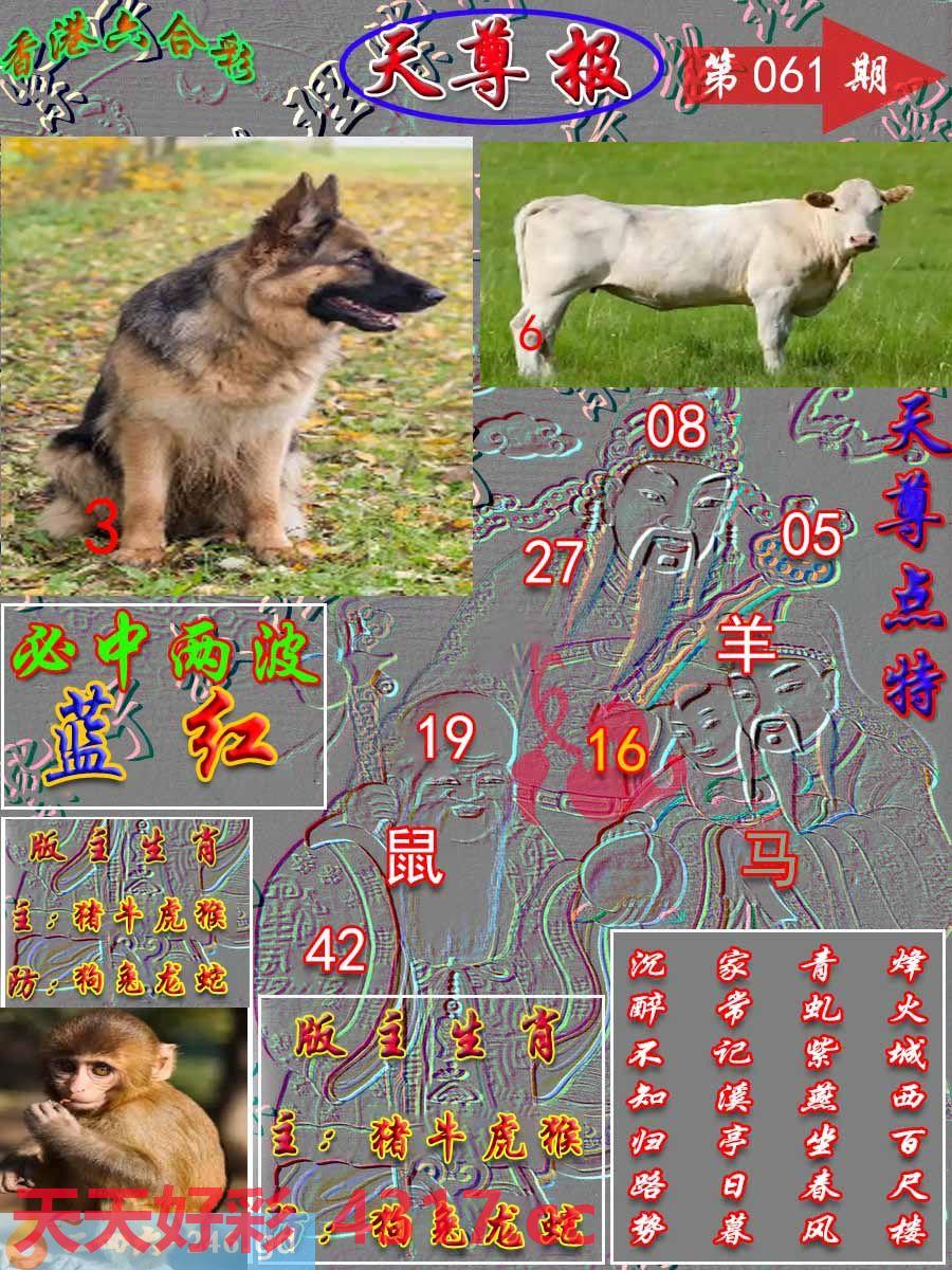 图片加载中...