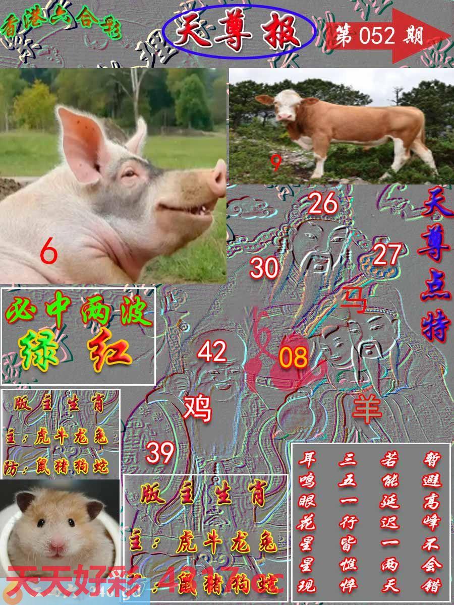 图片加载中...