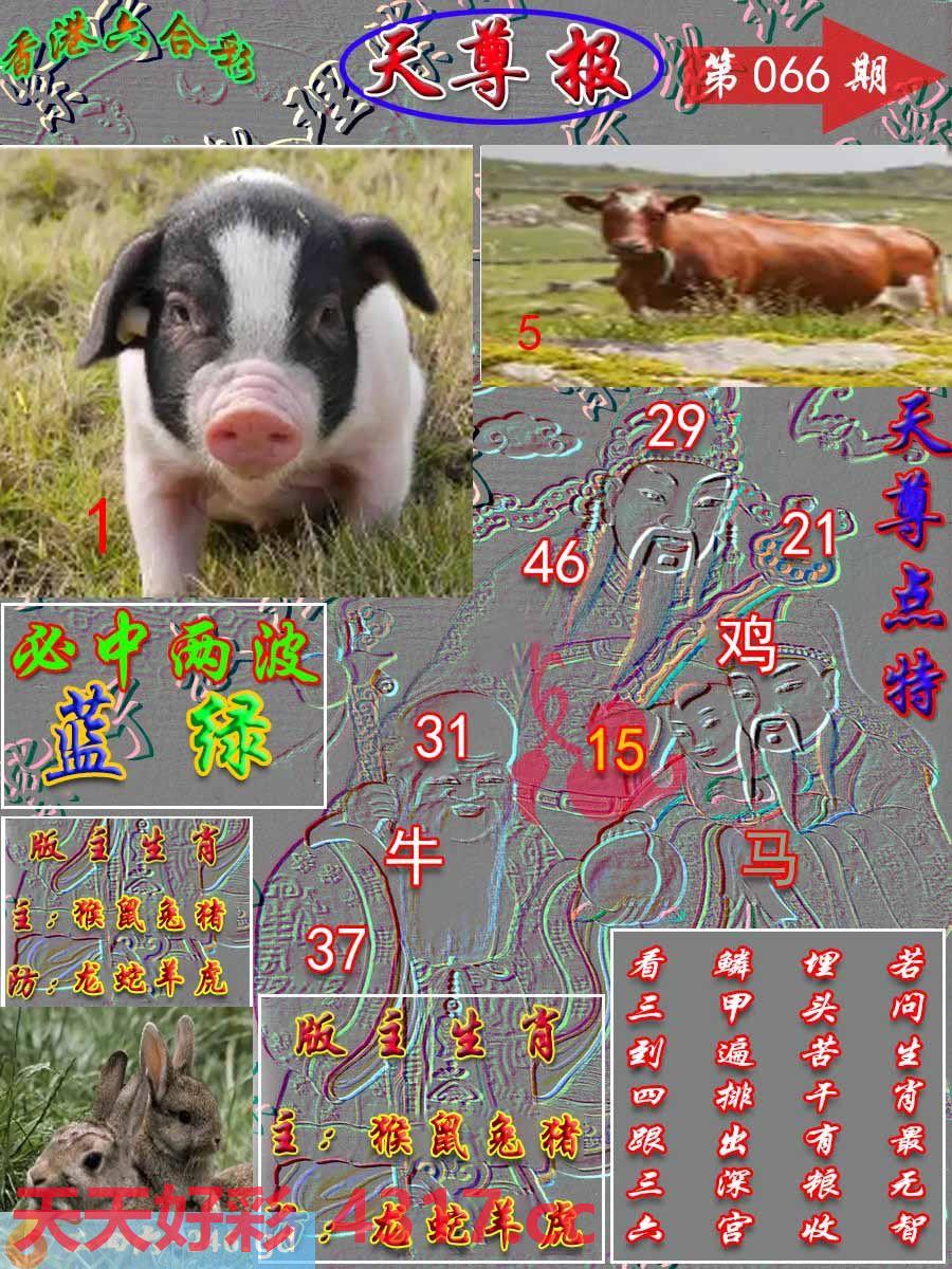 图片加载中...