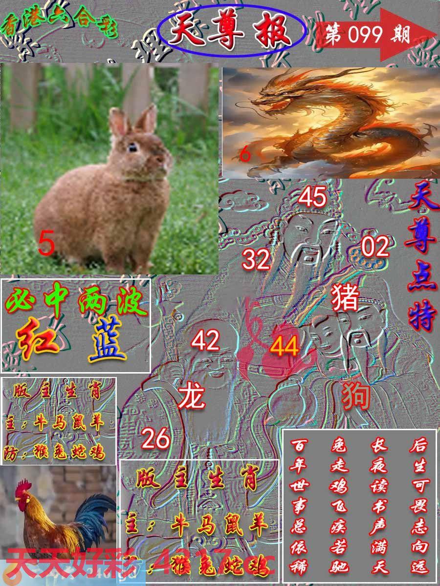 图片加载中...