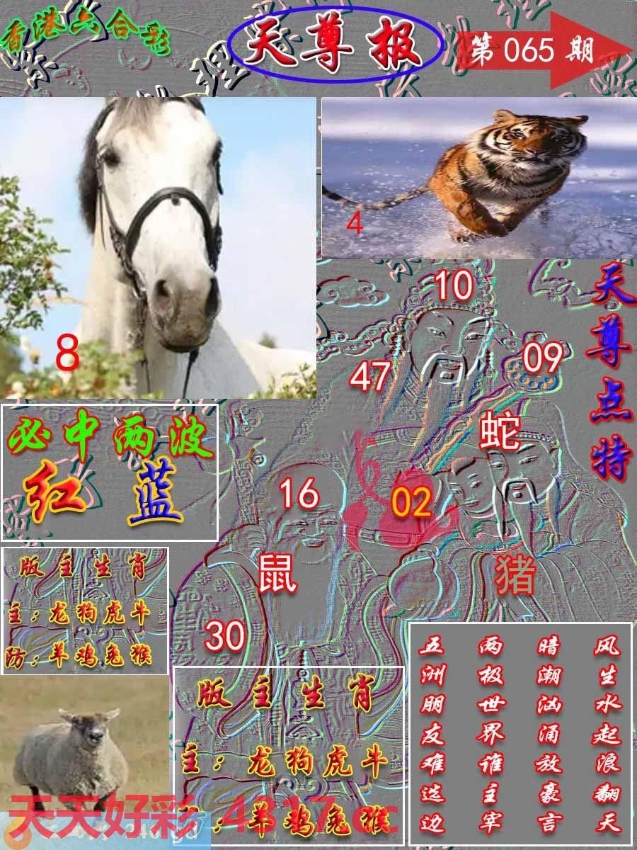 图片加载中...