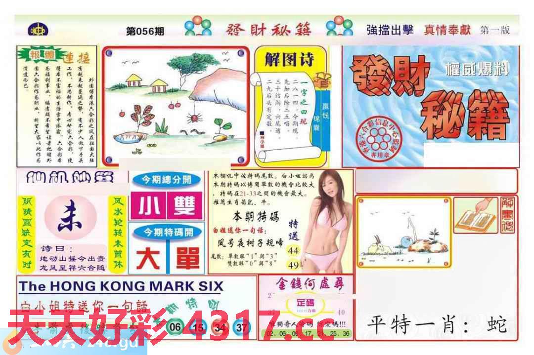 图片载入中...