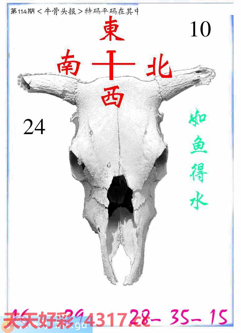图片加载中...