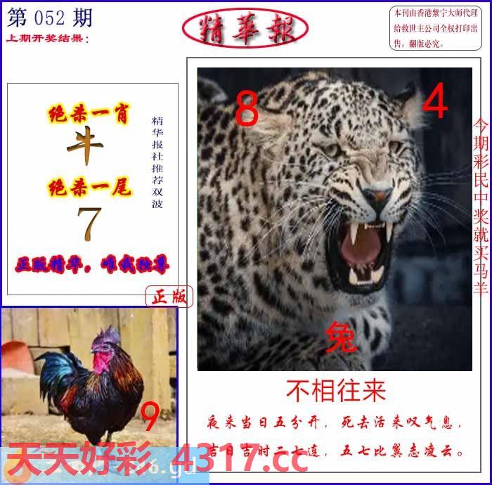 图片加载中...