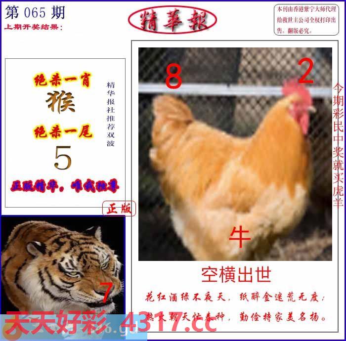 图片加载中...