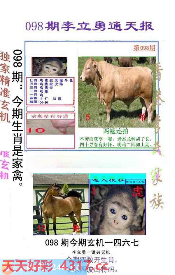 图片加载中...