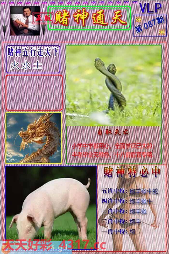 图片加载中...