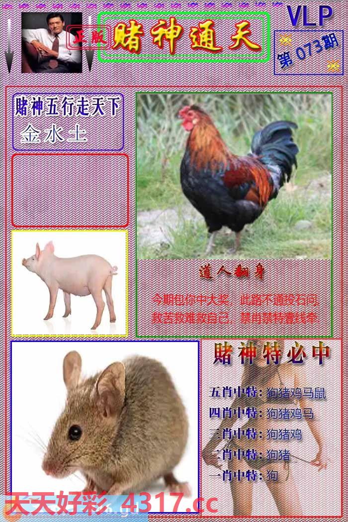 图片加载中...