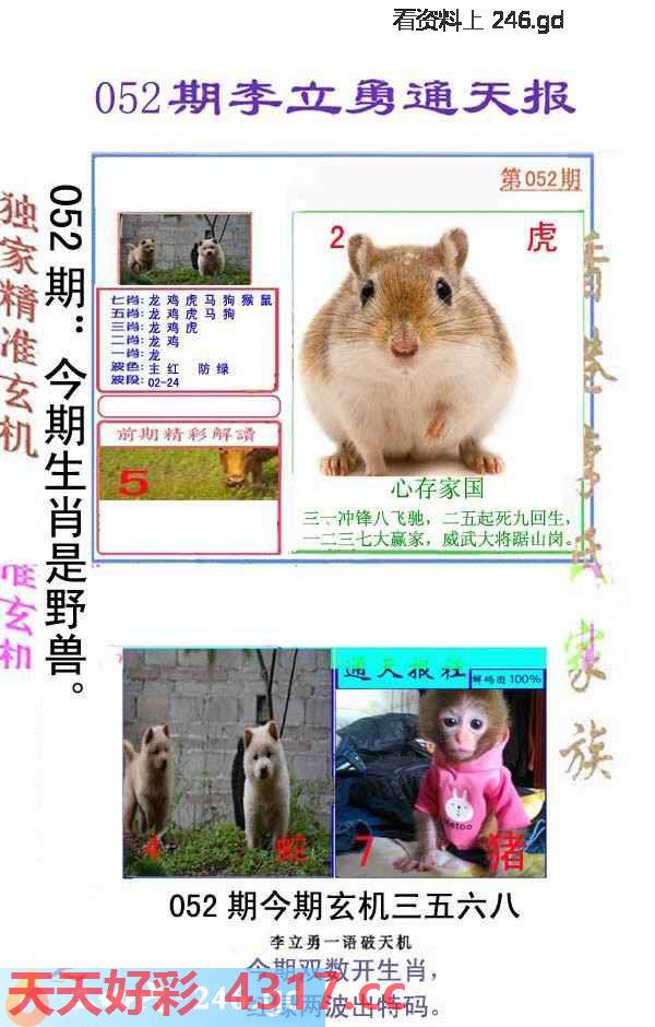 图片加载中...